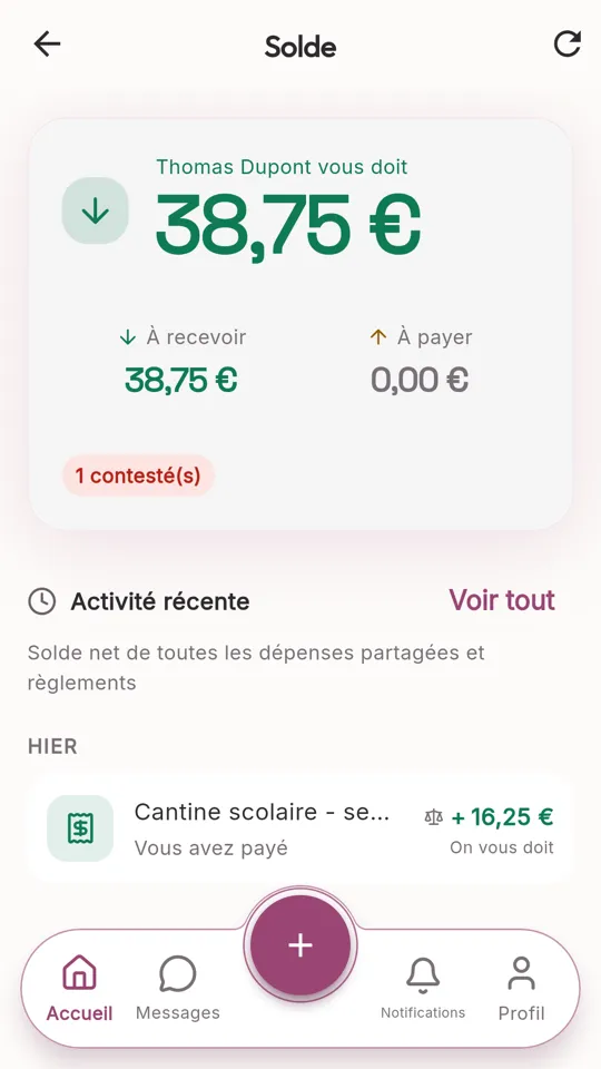 Solde des dépenses partagées : 38,75 € à recevoir, avec l’activité récente